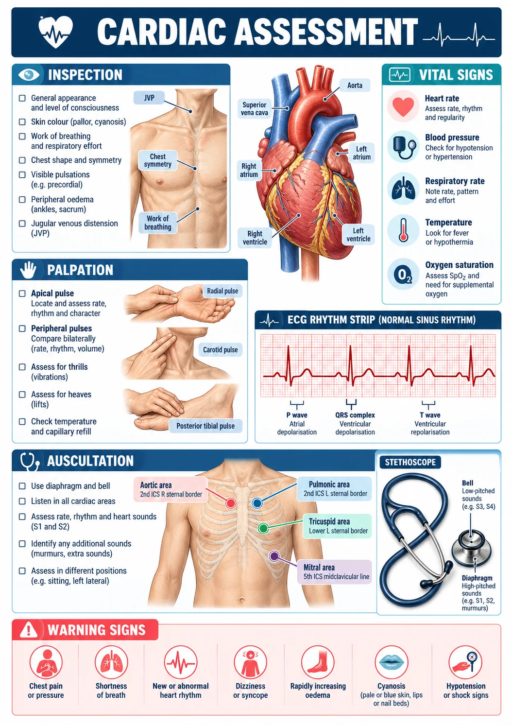 Nursing Visual Maps sample page about cardiac assessment