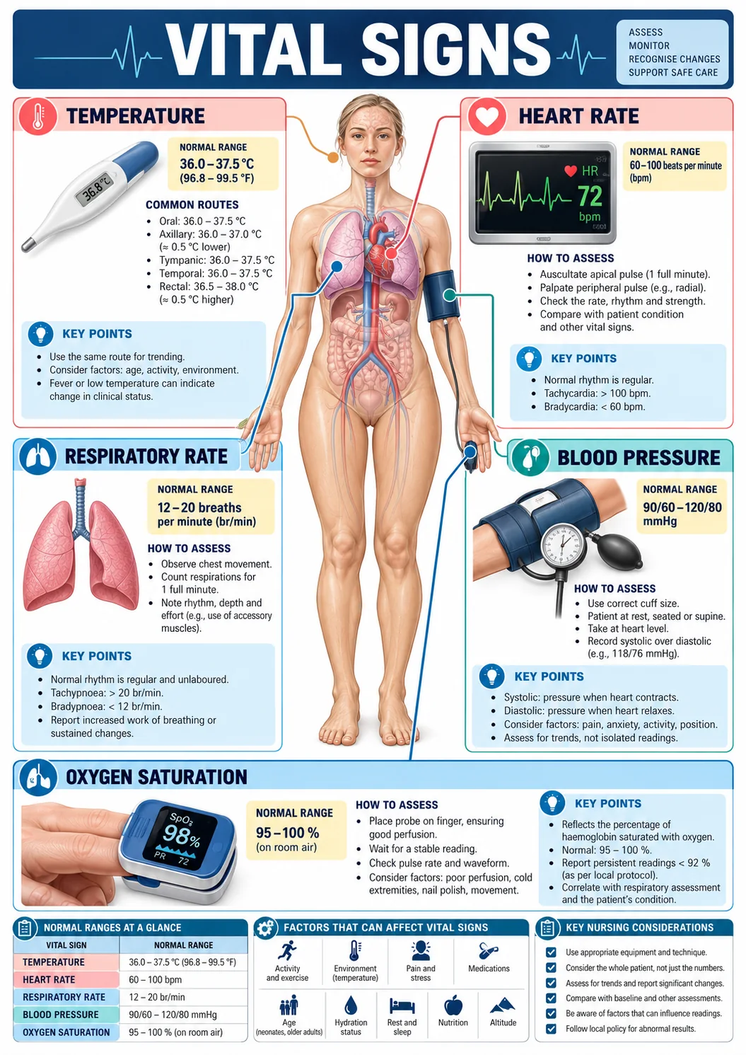 Nursing Visual Maps sample page about vital signs